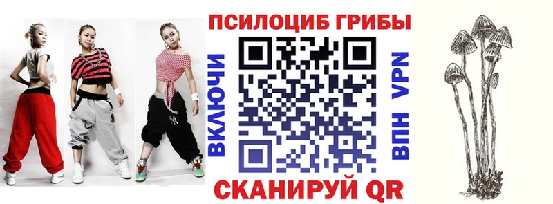 Галлюциногенные грибы Psilocybe  Цимлянск 