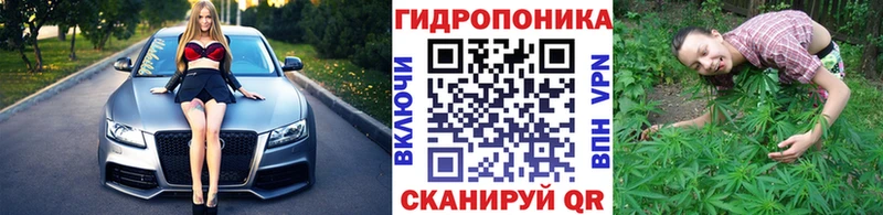 Марихуана LSD WEED  гидра зеркало  Цимлянск 